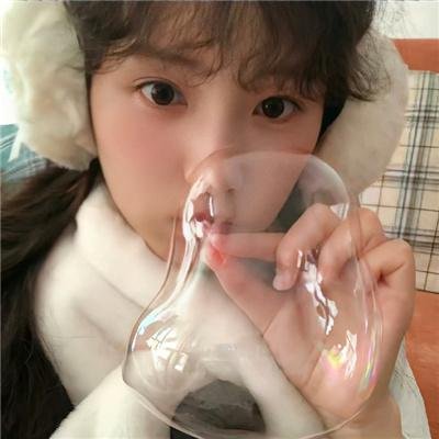 米歇尔先生的狗